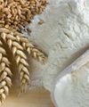 Foods That Cause Bloating