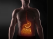 மனித உடலைப் பற்றிய சில சுவாரஸ்ய தகவல்கள்!!! 03-1404372236-4-gastrointestinal
