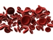 மனித உடலைப் பற்றிய சில சுவாரஸ்ய தகவல்கள்!!! 03-1404372274-10-bloodcells