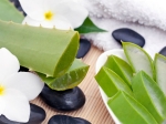 Use Aloe Vera Hair Care