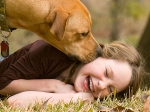 Hidden Allergy Hot Spots In Your Home