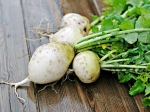 Healthy Root Vegetables You Must Try