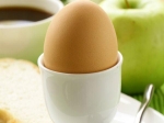 Best Morning Foods Your Breakfast