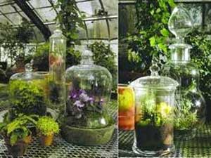 Gardening A Glass Box Is Back Vogue 