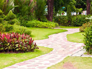 Great Garden Path Ideas 