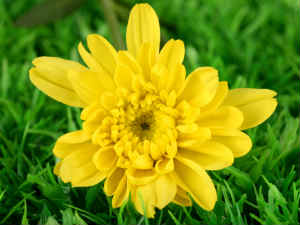 Way Get Happy Life 