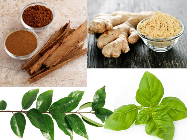 herbal remedies diseases herbal remedies diseases