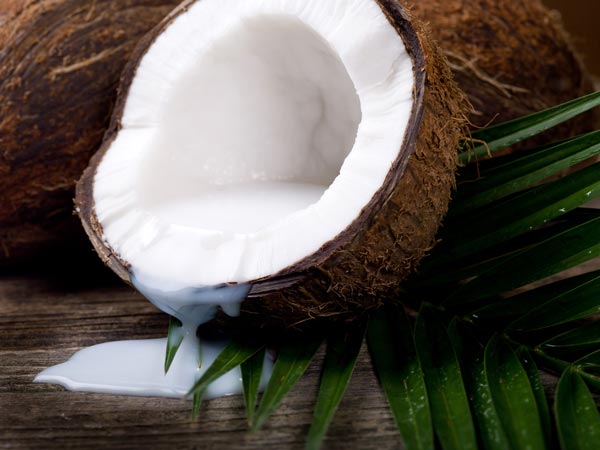 treat hair fall with coconut milk treat hair fall with coconut milk