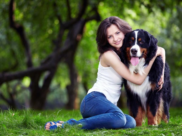 how be nice your pets 