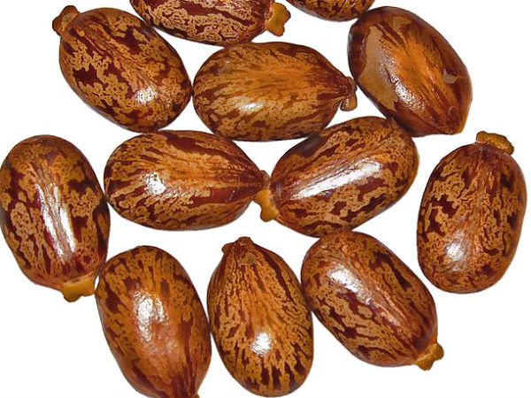 விளக்கெண்ணெய் 