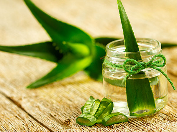 கற்றாழையின் அழகு நன்மைகள் 01-1404217381-5-aloevera
