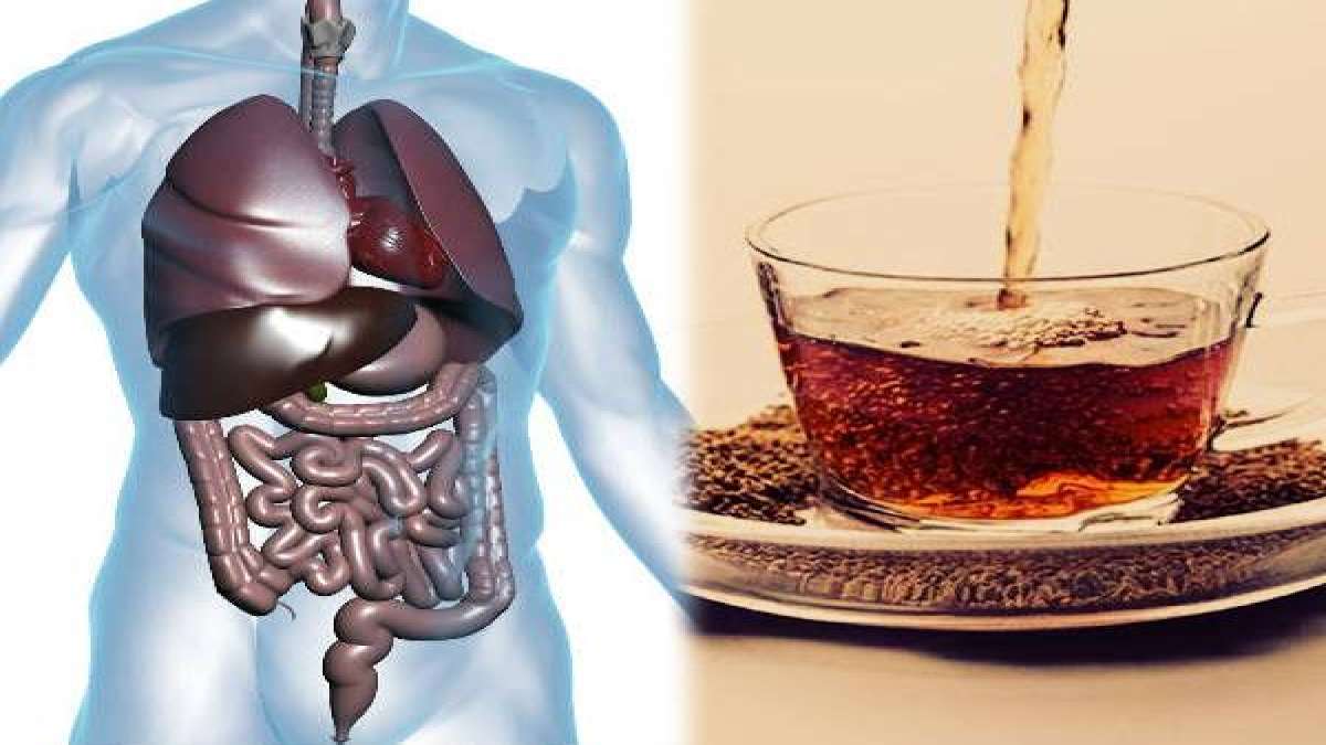 தினமும் ஒரு டம்ளர் ஓம நீரை காலையில் வெறும் வயிற்றில் குடிச்சா.. உடம்புல