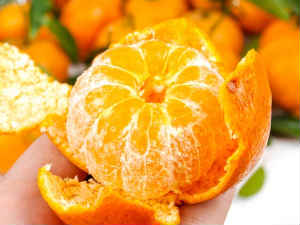 சிட்ரஸ் பழங்களை வெச்சு வீட்டையும் சுத்தம் பண்ணலாம்!!! | uses of citrus fruits for cleaning! | சிட்ரஸ் பழங்களை வெச்சு வீட்டையும் சுத்தம் பண்ணலாம்!!! - Tamil BoldSky