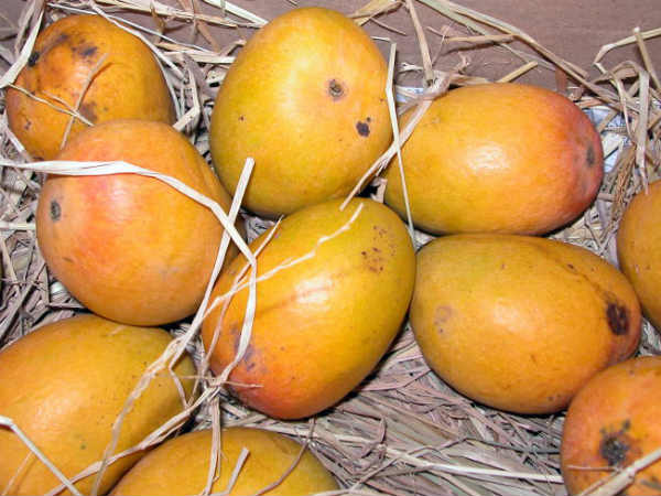 மாம்பழம்