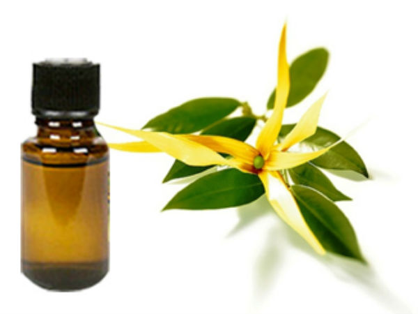 மனோரஞ்சித எண்ணெய் (Ylang-Ylang Oil)