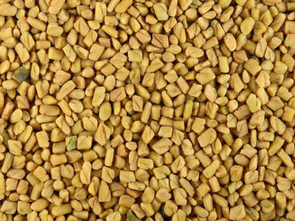 வெந்தயம்
