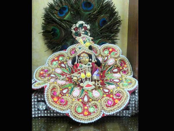 மயில் தோகை