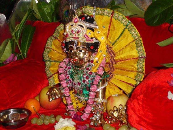 சந்தன் பிரிண்ட் (Chandan Prints)
