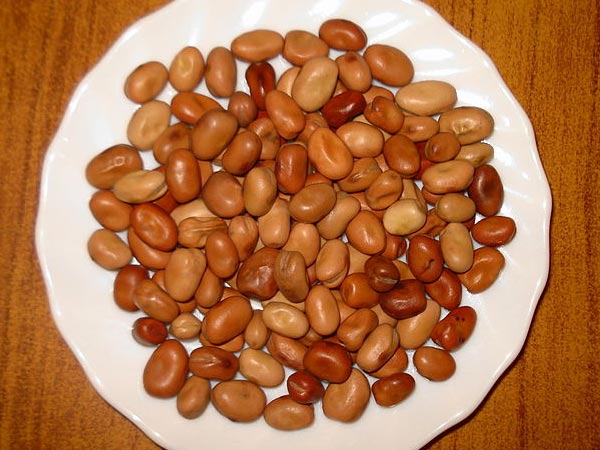 உலர்ந்த பருப்பு வகைகள்