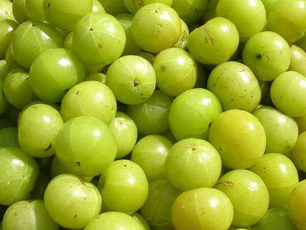 நெல்லிக்காய்