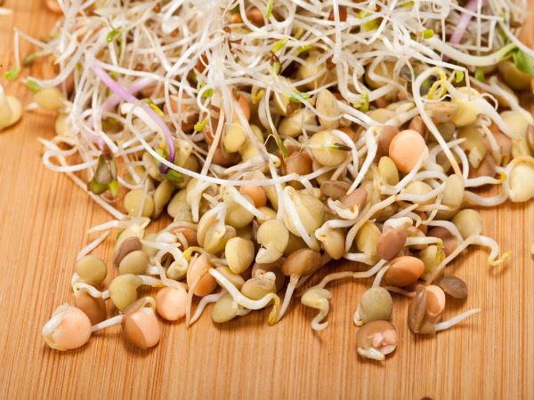 பிரஸ்ஸல்ஸ்