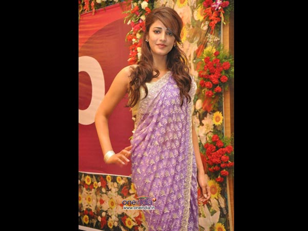 கத்திரிப்பூ நிற புடவை