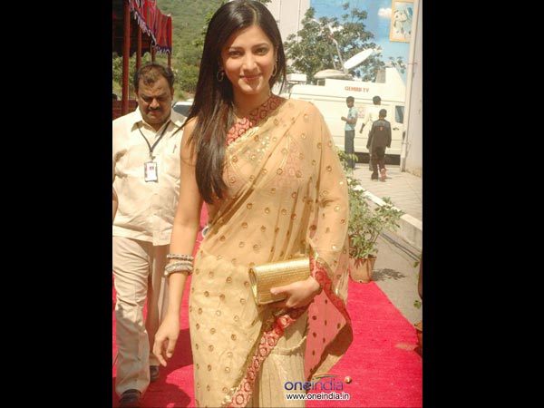 நெட்டட் புடவையில் ஸ்ருதி