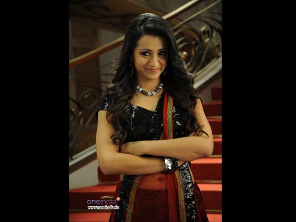 நடிகை த்ரிஷாவின் அட்டகாசமான தோற்றங்கள்!!! 