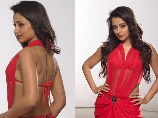 நடிகை த்ரிஷாவின் அட்டகாசமான தோற்றங்கள்!!! 