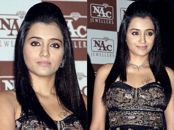 நடிகை த்ரிஷாவின் அட்டகாசமான தோற்றங்கள்!!! 