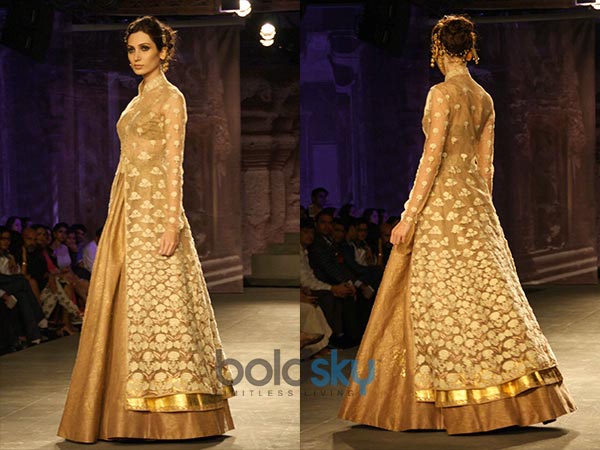 கோல்டன் நிற சில்ஹோட்டே