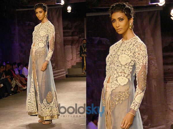 வெளிர் நீல சில்ஹோட்டே