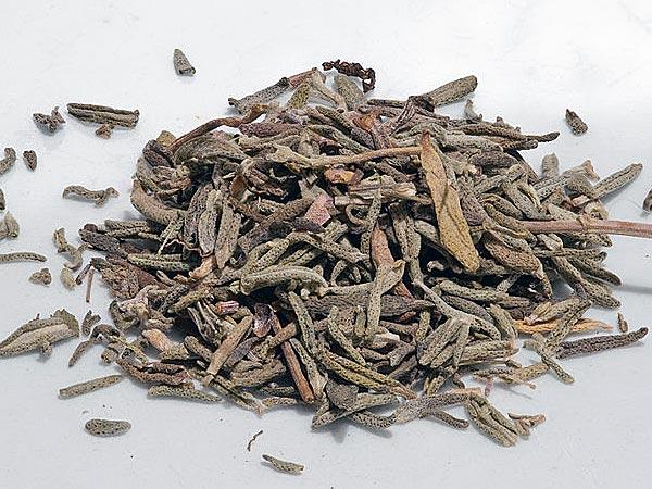 தைம்
