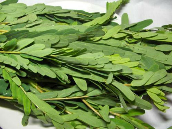 அகத்திக்கீரை