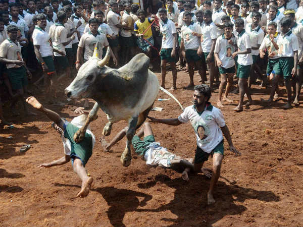 பெயர் காரணம்