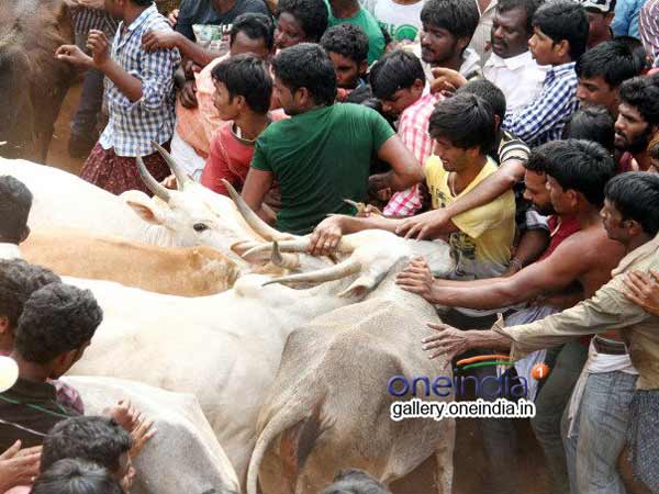 வரலாறு
