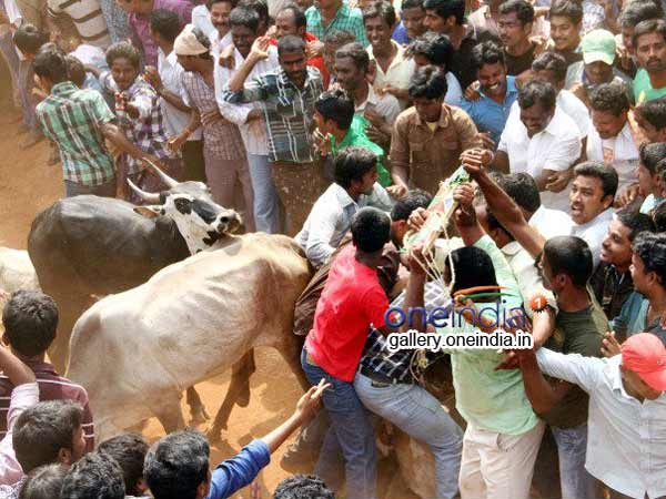 சங்க இலக்கியங்கள்