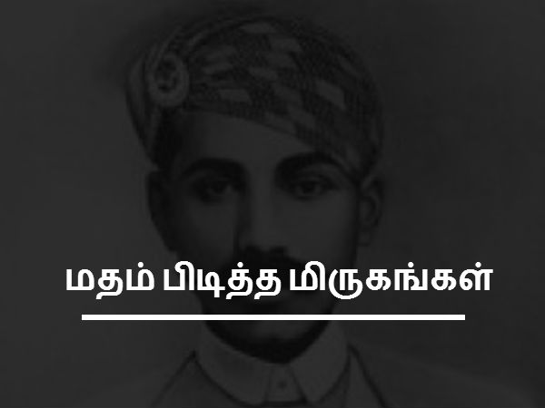 மதம் பிடித்த மிருகங்கள்