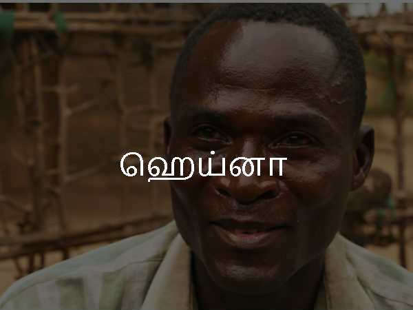 ஹெய்னா
