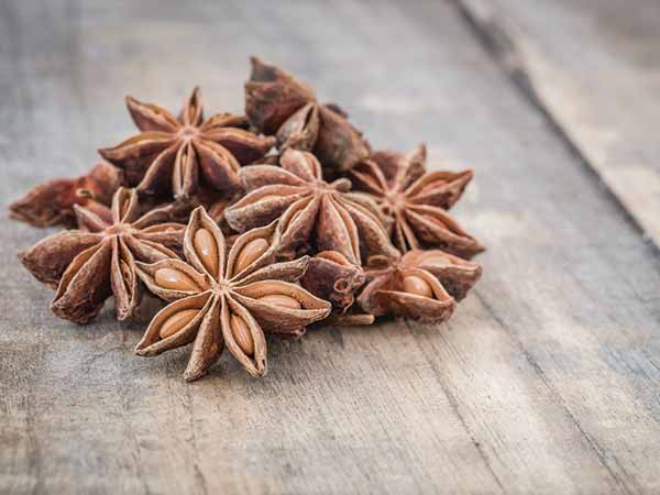 மார்பக அளவைப் பெரிதாக்கும் சில சமையலறை மூலிகைப் பொருட்கள்! | No Silicones – These Plants Will Make Your Breasts Bigger - Tamil BoldSky
