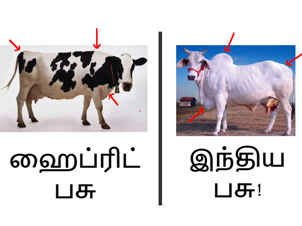 வேறுபாடுகள்!