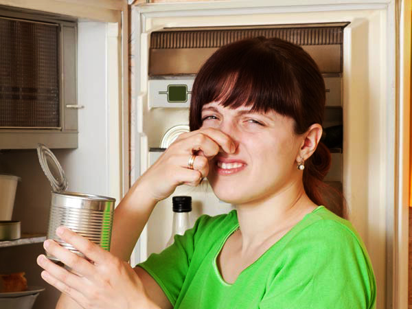 11-1491894372-2-smell-refrigerator-28081