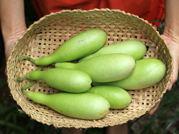 தேவையானப் பொருட்கள் :