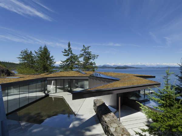 பைன் மரங்களின் நடுவே...