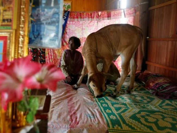 திருமணம் :
