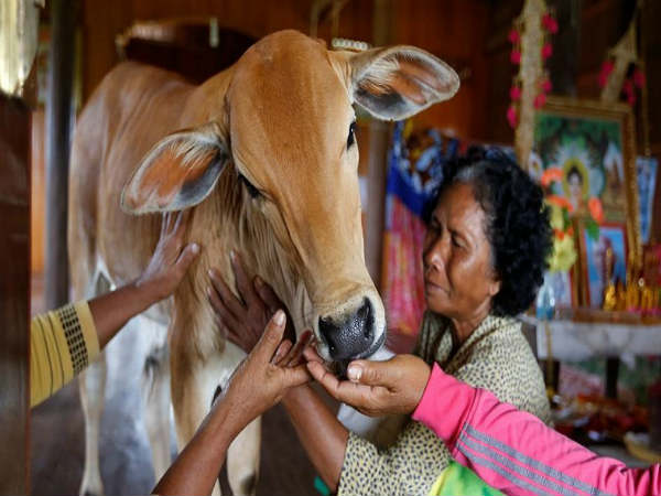 செத்தாலும் விடமாட்டோம் :