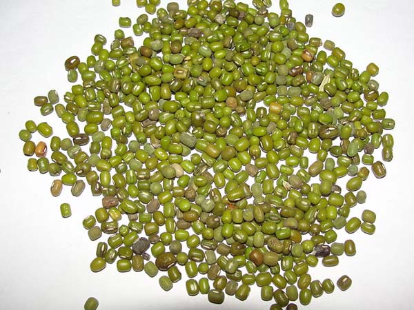 பயறு வகைகள் :