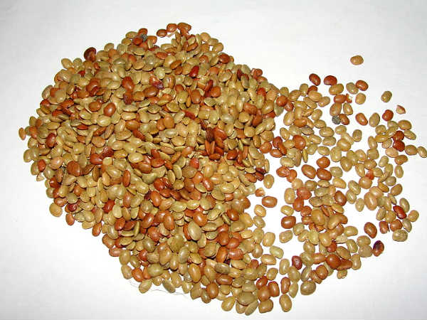 தேவையான மூலிகைகள்