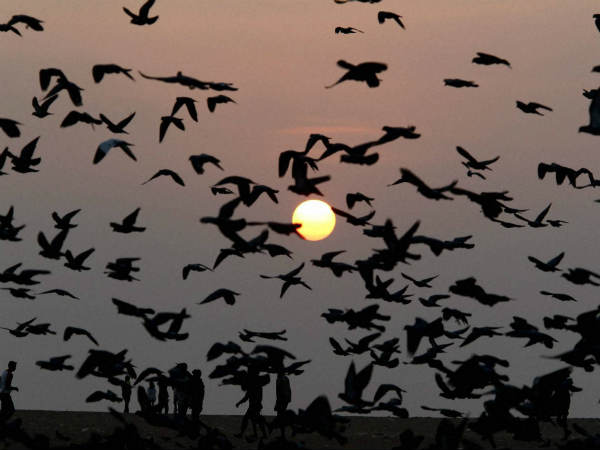 தொந்தரவு செய்ய கூடாது