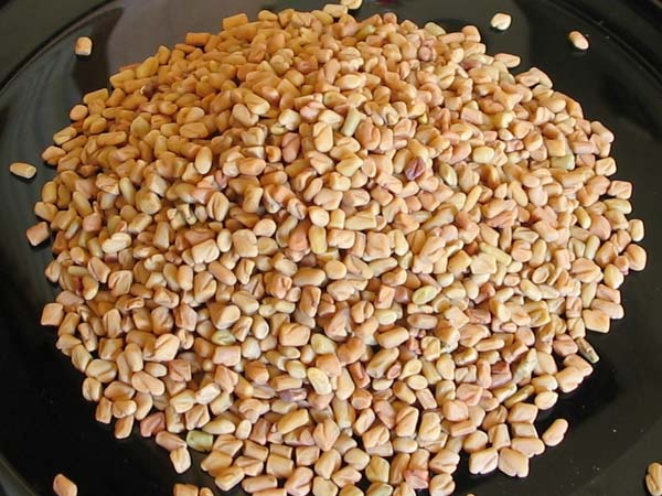 வெந்தயம் :